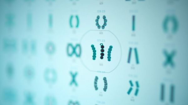 Comment l'âge maternel influence les anomalies chromosomiques